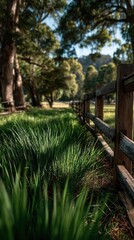 Peaceful rural fence line alongside lush grass meadow
