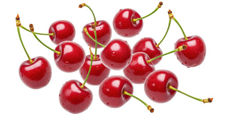 Isolated Pile of Fresh Red Cherries with Water Droplets on Stems