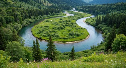 River Winding Through Forest