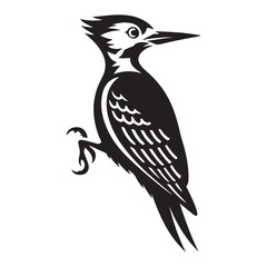 striking vector illustration of a stylized woodpecker, Vector black silhouette. with white background