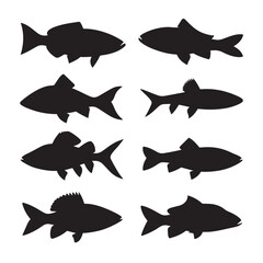 Vector silhouette set of fish on white background 
