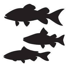 Vector silhouette set of fish on white background 