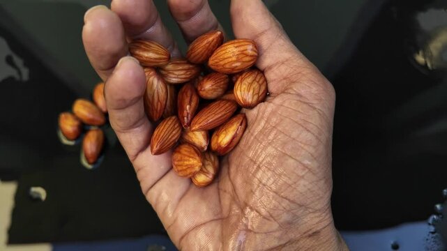 handful of almonds on black background in hands , slow motion , cinematic shot , healthy nuts concepts
