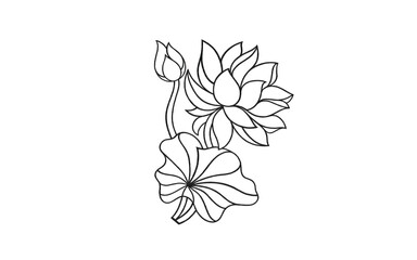lily flower outline