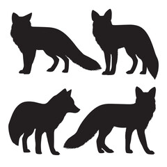 Vector silhouette set of fox on white background 