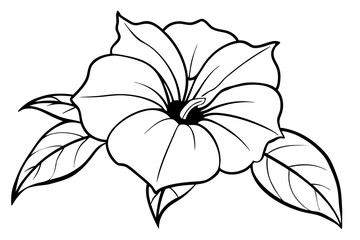 morning glory silhouette line art vector illustration with a white background
