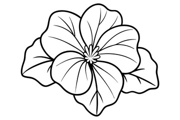 nasturtium silhouette line art vector illustration with a white background