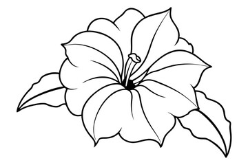 petunia silhouette line art vector illustration with a white background