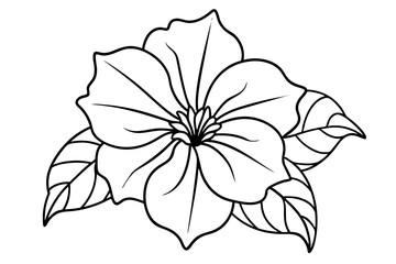 petunia silhouette line art vector illustration with a white background