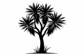 yucca silhouette line art vector illustration with a white background