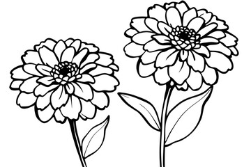 zinnia silhouette line art vector illustration with a white background