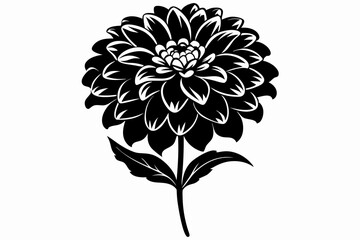 zinnia silhouette line art vector illustration with a white background