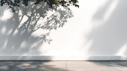Tree shadows on a white wall with a gray floor surface.