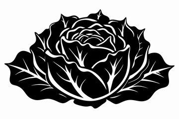 lettuce silhouette line art vector illustration with a white background