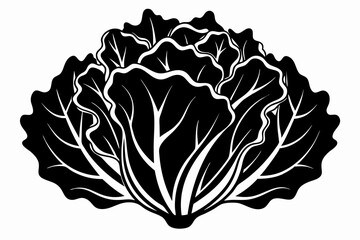 lettuce silhouette line art vector illustration with a white background