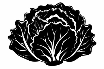 lettuce silhouette line art vector illustration with a white background