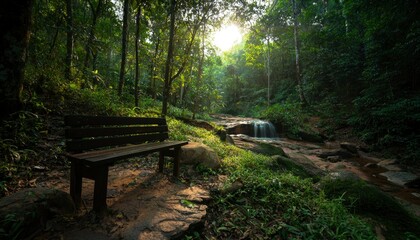 Lush Forest Scene with Bench and Waterfall