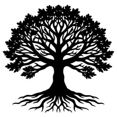 Obraz premium a detailed oak tree with exposed roots silhouette v2