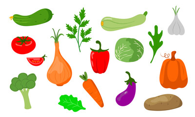A set of fresh bright vegetables.Seasonal harvest.Vector illustration