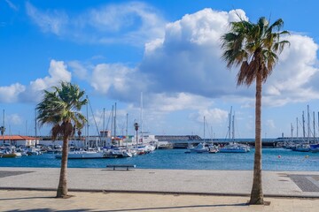 Marina with Palm Trees, Terceira, Azores. Scenic view of the harbor filled with sailboats and yachts, framed by two tall palm trees in the foreground, with a clear blue sky and fluffy white clouds
