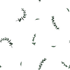 Seamless pattern of green of eucalyptus leaves and branches. Green background. Different shapes of leaves. Vector illustration