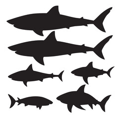 Obraz premium Vector silhouette set of shark on white background 