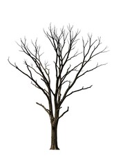 Winter's Embrace: Skeletal Silhouette