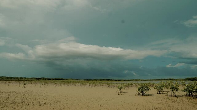 Timelapse d&rsquo;un nuage de pluie massif au-dessus des mangroves s&egrave;ches en Casamance &ndash; paysage tropical dramatique, brume de pluie au loin, ambiance orageuse et ciel en mouvement