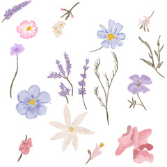 set of flowers and butterflies