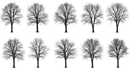 Winter's Silent Chorus