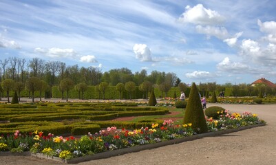 A very beautiful flowerbed in a regular park. Beautifully trimmed trees. Tulips and other plants of...