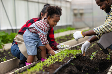 Happy African black people farmer family enjoy playing together with girl child planting plant in greenhouse vegetable farm