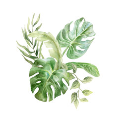 Tropical bouquet of green leaves of monstera, banana, palm, liana. Hand drawn watercolor illustration isolated on white. For postcards, invitations, summer banners, posters.
