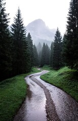 Fototapeta premium road in the mountains