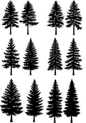 Evergreen Elegies