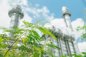 Sustainable Industry development, Green Business industries using Renewable energy, Low CO2 Emission
