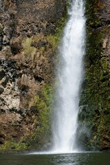 Hunua Falls waterfall in lush forest, Auckland, New Zealand