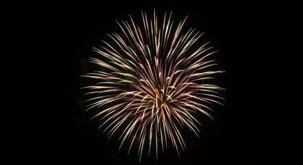 Fireworks display night sky