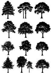 Ink & Shadow: A Sylvan Collection