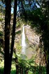 Hunua Falls waterfall in lush forest, Auckland, New Zealand