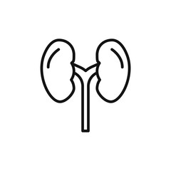 kidney icon on white background. Editable stroke.