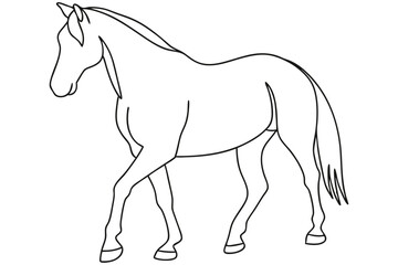 Obraz premium horse1