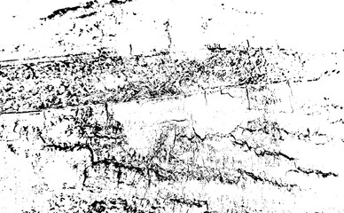Obraz premium Close-up of tree bark Grunge texture with natural cracks , Isolated on transparent background, PNG