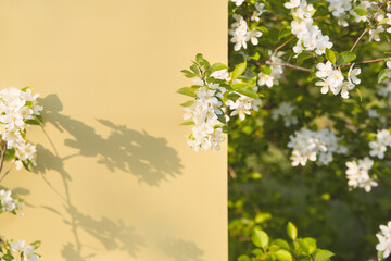 Spring blossom and yellow wall layout for floral product mockup