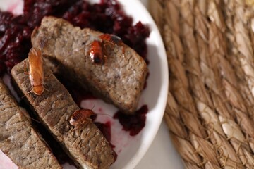Cockroaches crawling on roasted beef meat on table, top view