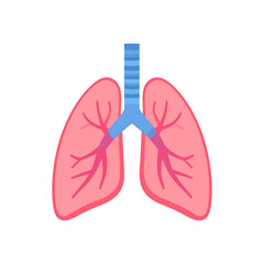 Human Respiratory System Lungs Anatomy Illustration Medical Diagram