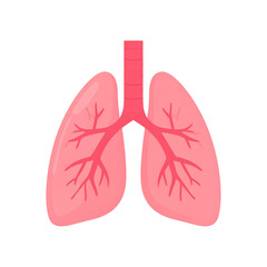Fototapeta premium Human Respiratory System Lungs Anatomy Diagram Illustration