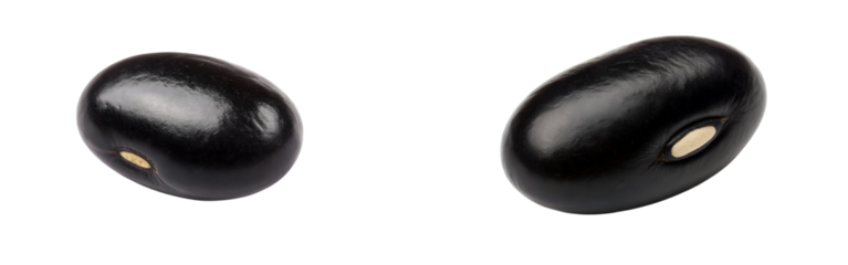 Glossy black beans in isolated close up shot for use transparent background Generative AI