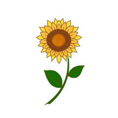 Simple sunflower picture