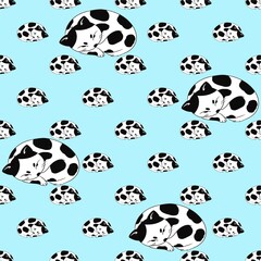 A cute black and white cat sleeps in a ball.